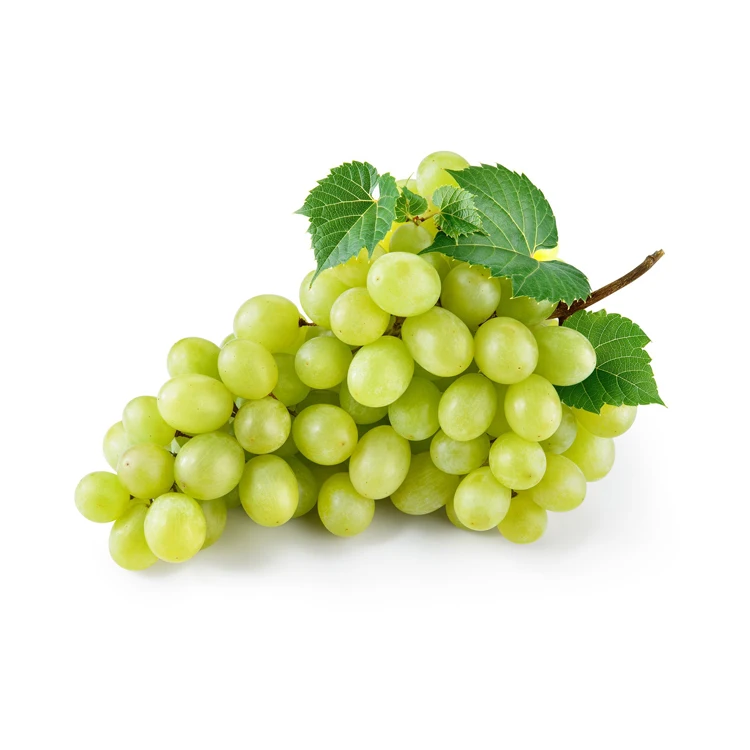 Высокосладкий свежий сияемый мускатный виноград натуральный зеленый виноград без косточек с богатыми витаминами, произведенными в Австрии