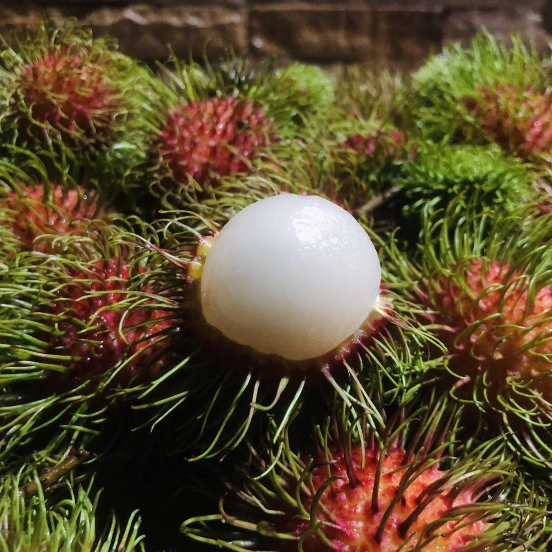 Rambutan Fruits Fresh Sweet Tasty 100% Natural Rambutan From from Thailand Farms Premium Quality Grade A