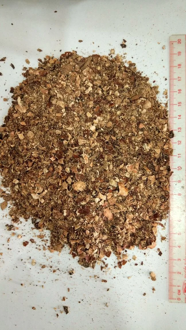 RAW CASHEW HUSK FROM VIETNAM WITH COMPETITIVE AFFORDABLE PRICE HIGH QUALITY FOR EXPORT 2023