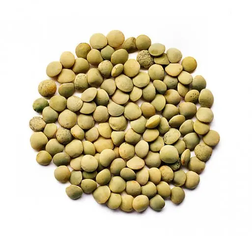 2022 New Crop Canadian Dry Green Lentils
