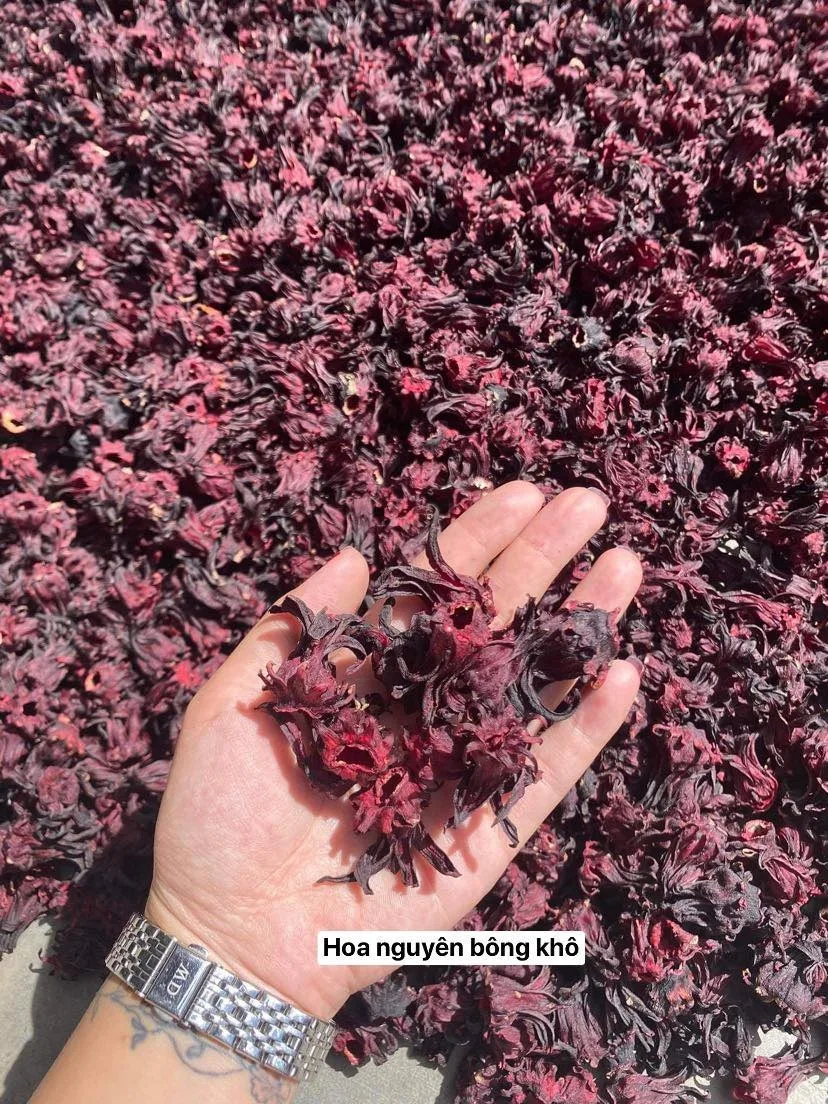 Top sale Vietnam Herbal tea - Dried flower Hibiscus Chamoline Lavender from factory