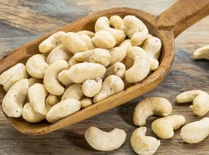 vietnam cashew nuts