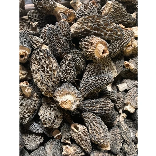 cooking grade natural sponge mushroom dried whole morel  Mushroom for sale