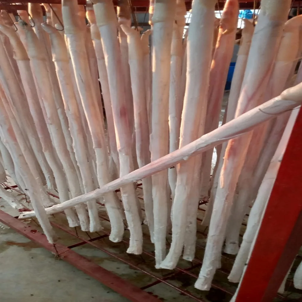 Jumbo Bully Sticks Wholesale Halal Frozen Beef Pizzle Penis Bull Sale Cheap Price From Bangladesh
