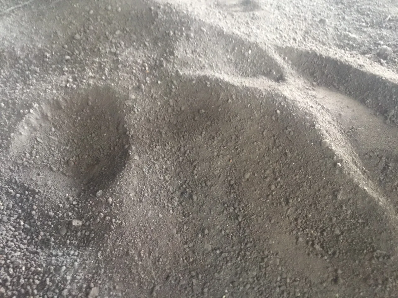 High Quality Manufacturer Peat Organic fertilizer potting Plants Growth Promotion Negotiable Price For Sale