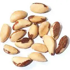 brazil nuts100% natural top quality good typical shellless for human consumption dried raw brazil nuts