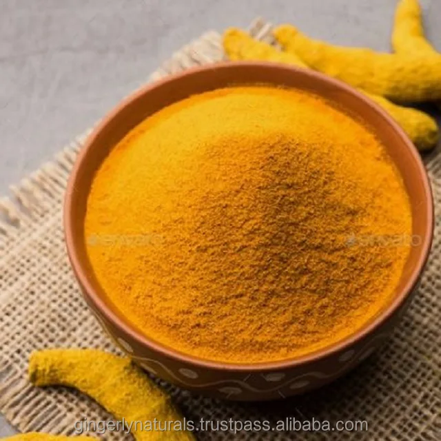 Bulk Supplier of Turmeric Extract Powder Manufacturers From India