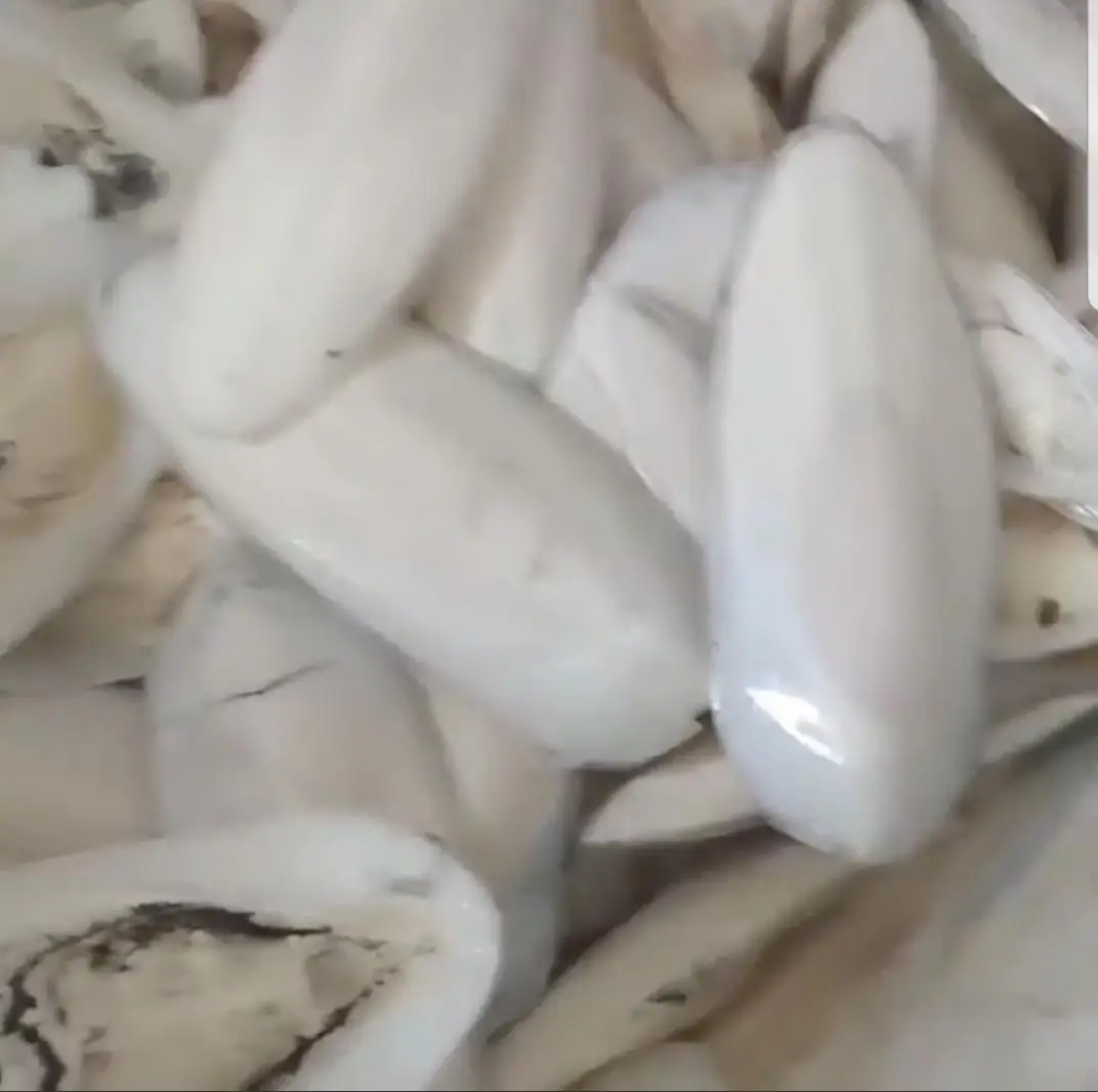 Hot Sale Cuttlefish Bones Dried cuttlefish bone Cuttle fish bone