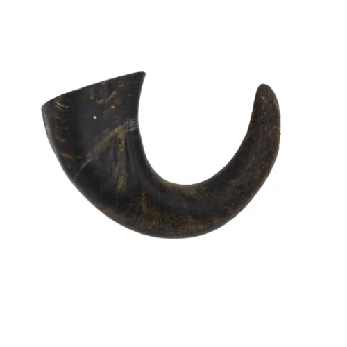 High quality raw buffalo horn for sale