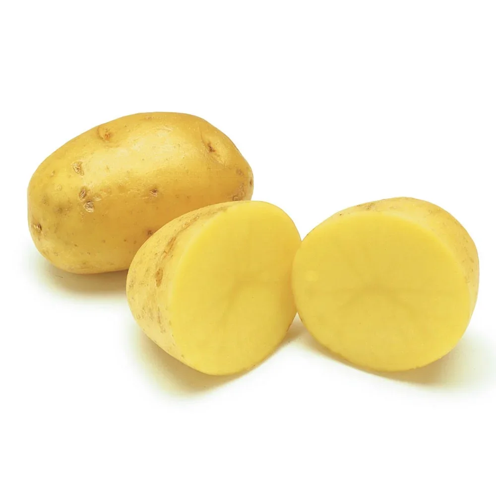 Vietnam potatoes supplier fresh new crop potatoes wholesale fresh prices for export fresh potatoes