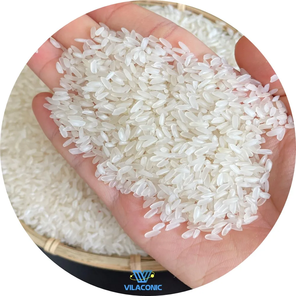 MEDIUM GRAIN CAMOLINO EGYPTIAN WHITE  RICE 5% BROKEN EXPORT WHOLESALE PREMIUM FROM VIETNAM MANUFACTURER +84 964 660 879