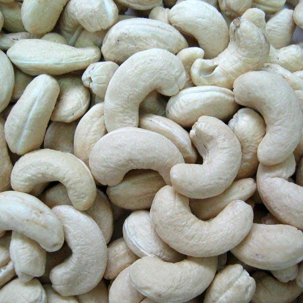 USDA/EU ORGANIC WHOLE WHITE CASHEW NUT KERNELS CASHEWNOTTER W240 HIGH QUALITY LOW PRICE BRC 2024 FACTORY HANFIMEX 0084374074818