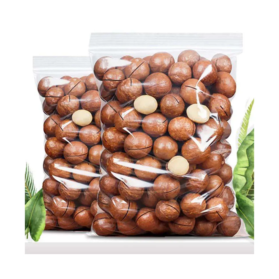 Best price Macadamia Without shell roasted double halves with Medium Size Manufacturing Wholesale Grade A Macca Nuts