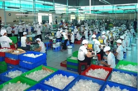 BEST SUPPLIER OF HIGH QUALITY COCONUT JELLY NEW VIETNAM / MS JENNIE