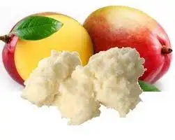 Wholesale High Quality Cosmetic Use Mango Butter Natural Skin Care Product Export Very Good Quality From India