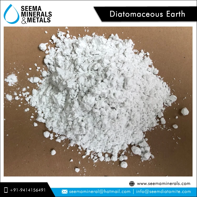 Exclusive Hot Deal on 2022 Top Most Selling Natural Food Grade Diatomaceous Diatomite Earth Powder