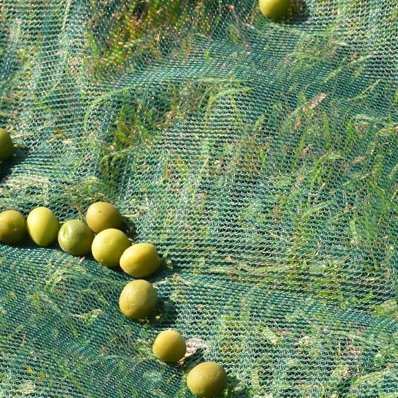 China Supplier Olive Harvest Net Fruit Collection Net HDPE Agriculture Greenhouse Olive Nets