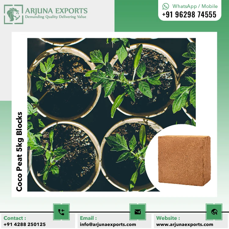 Trusted Manufacturer and Supplier of Coco Peat or Coco Coir Pith 5kg Block for Hydroponics Method Plants Growers
