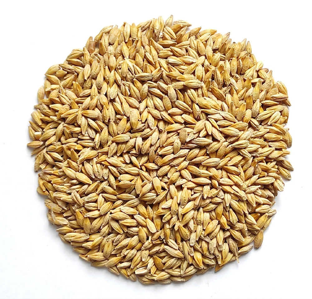 Top Sale DCP Dicalcium Phosphate Feed Grade in China Animal Max Bag Fish White Dog Chicken Packing Packaging Color Yeast Origin