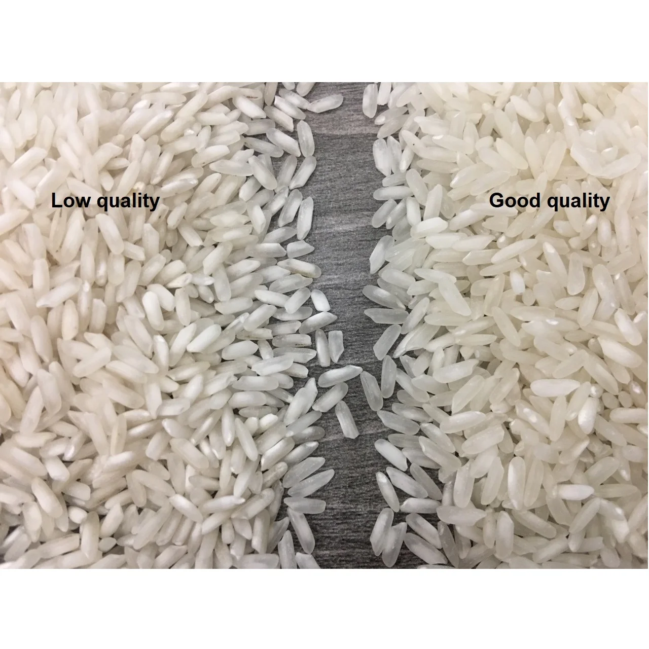 Vietnam Agriculture 24 Months Shelf Life Long Grain White 6.20mm Agriculture Dried Style F&B Variety 504 15% Broken Rice