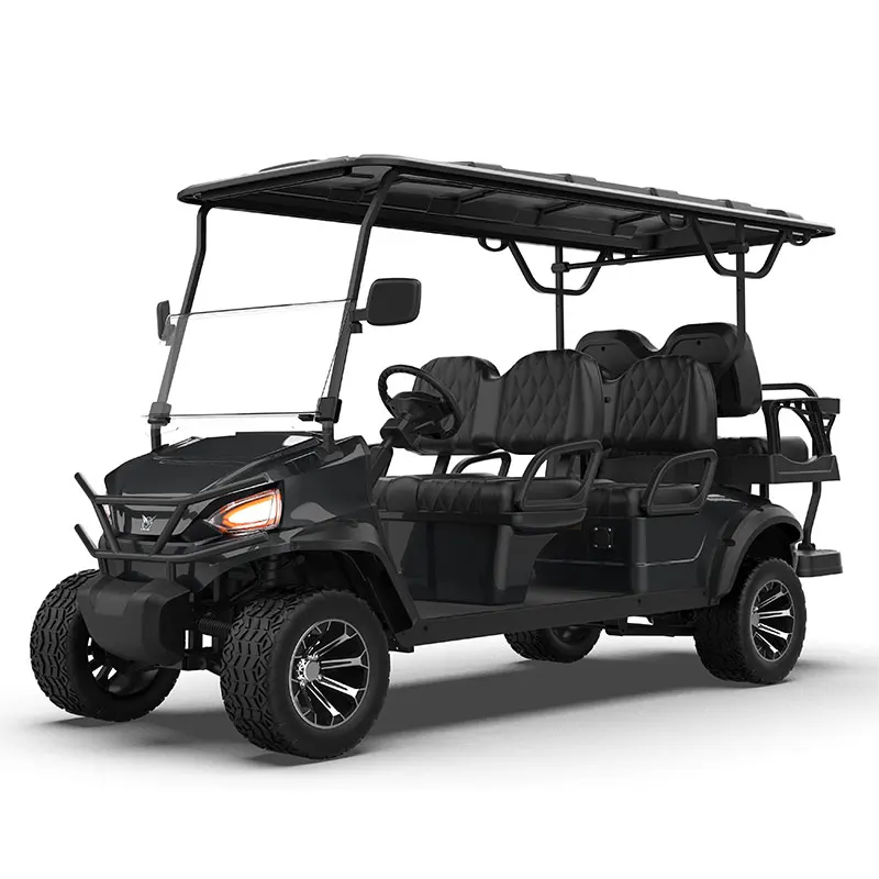 ODM Service for Exclusive Brand Agent New Energy Luxury 2/4/6/8 Seater Off Road Hunting Golf Cart
