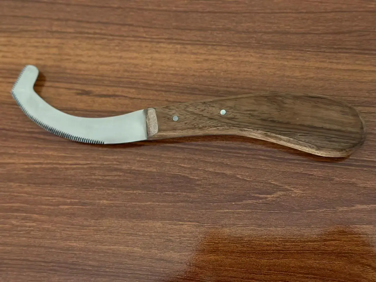 Bot egg Wooden Knife Hoof Pick Bot Fly Knife Lincoln Bot Stainless Steel Blade Grooming Equestrian Equine Veterinary Instrument