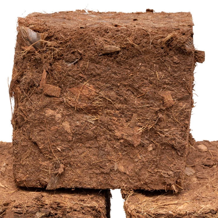 Natural Environment Friendly Coco peat Protection Coir Peat Coconut Fiber Top Gardening Plant helps stabilize soil on slopes