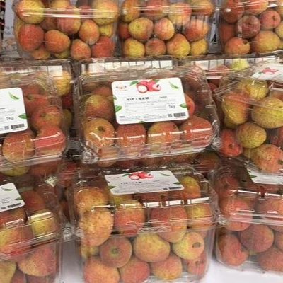 Fresh Lychee Grade 1 | Vietnam Lychee