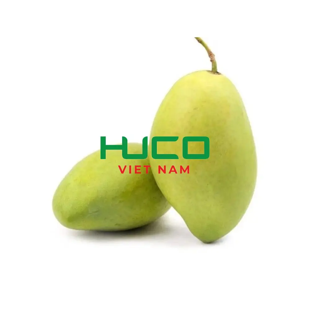 High Quality Low price Vietnam Tropical Fresh Mango