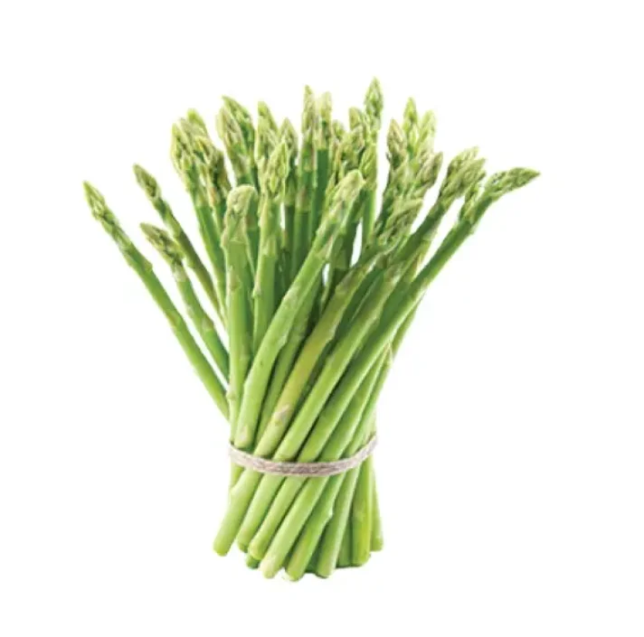 2023 Fresh Baby Asparagus From USA Ready to Export Premium Quality Fresh Vegetable Low Price