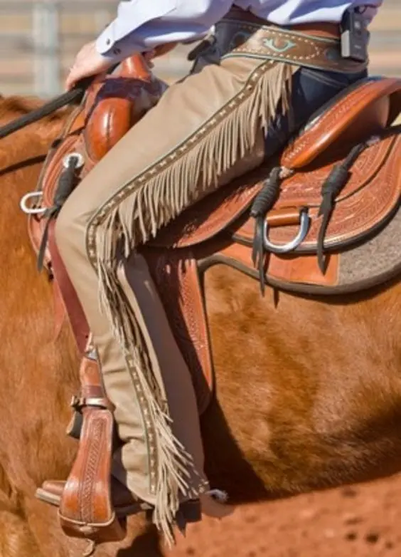 leather horse full chaps