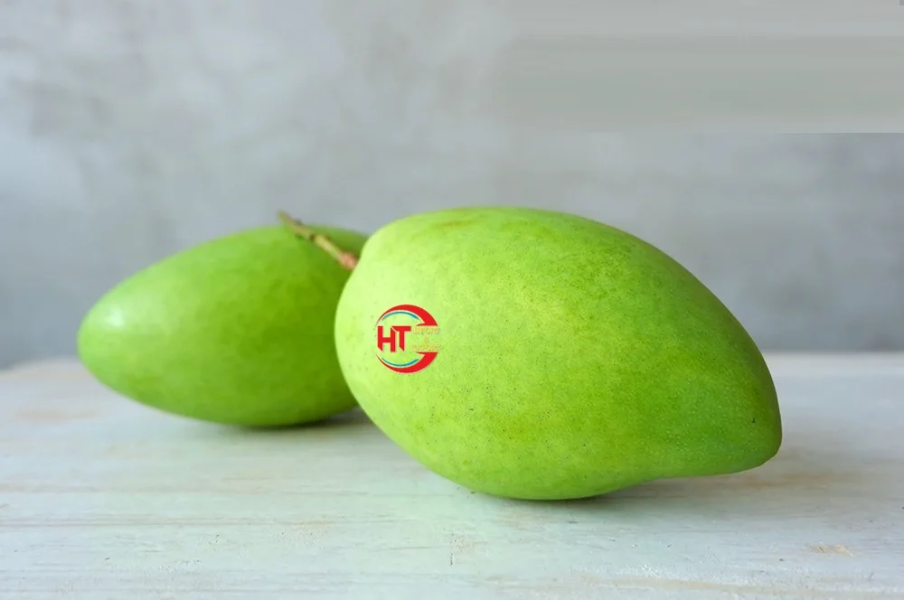 A Grade Export Fresh Fruit Organic Natural Sweet Taste Unripe Maturity Hoa Loc Mango From Vietnamese Brand