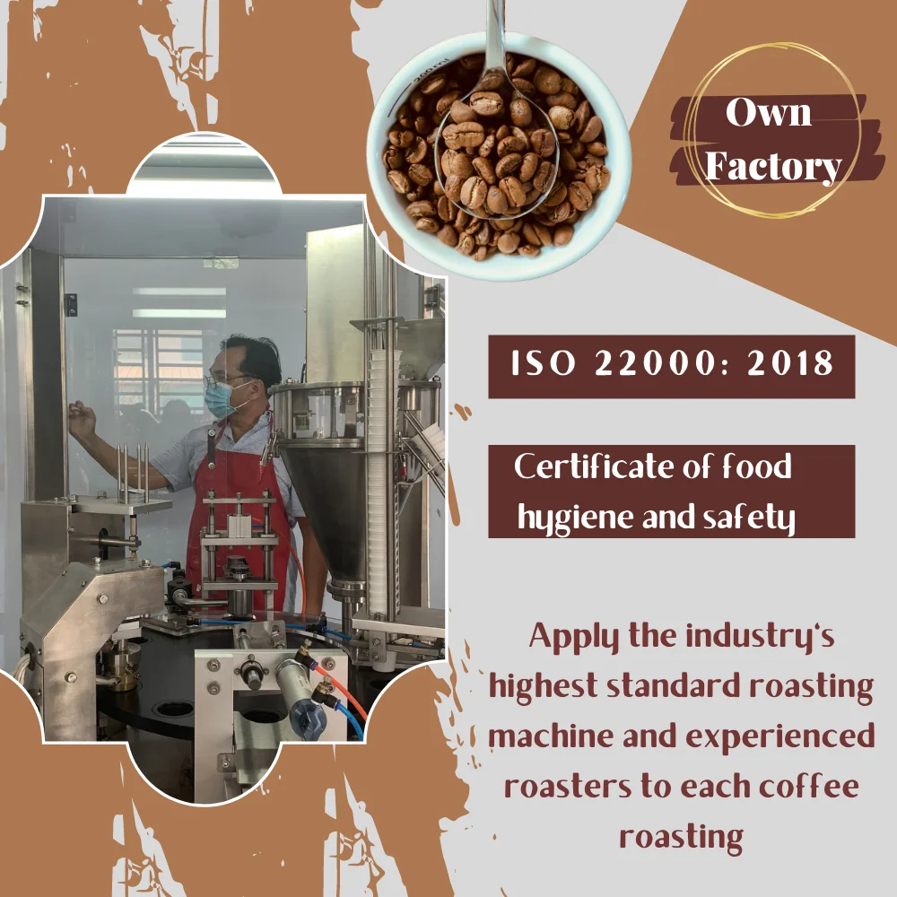 OEM Kcup coffee at Factory Viet Nam Cheap price Capsule brands coffee Pod 12g Specialty Arabica Ready to Export Fast delivery