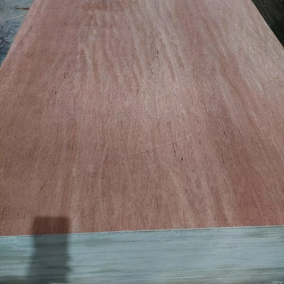 PACKING PLYWOOD WITH BOTH SIDE BINTANGOR