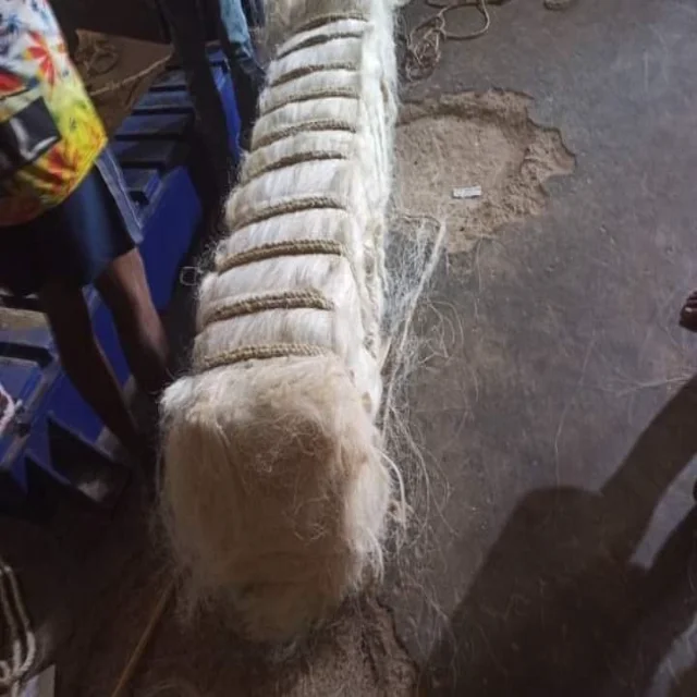 African UG Sisal Fiber Cream White 100kgs/bale