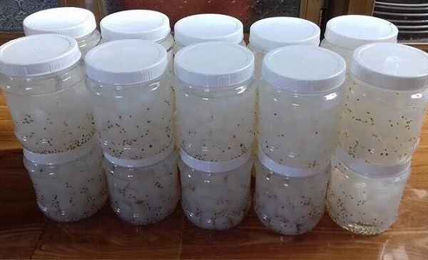 NATA DE COCO// COCONUT JELLY MADE IN VIETNAM 2022 // Ms. Jennie (Whatsapp 84358485581)