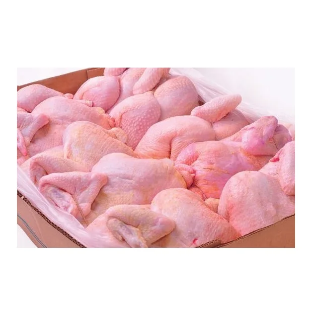 Quality Certified Halal Frozen Chicken Feet/ Chicken Wings/ Frozen Whole Chicken