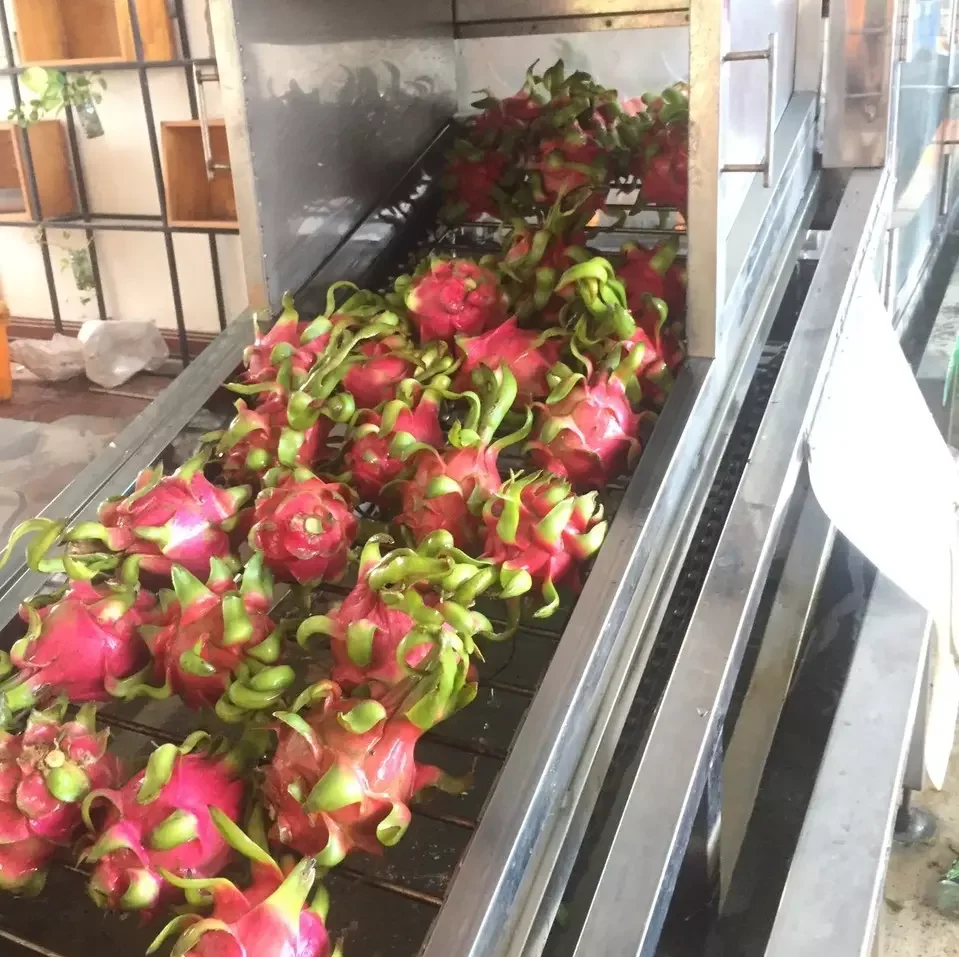 Wholesale 100% Pure Red Pitaya Freeze Dried Dragon Fruit