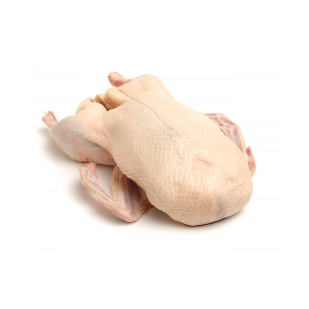 Best Factory Price Of Frozen Goose Fat Available In Bulk Stock With Custom Packing