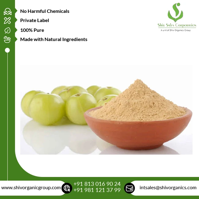 Fresh Quality Cosmetic Grade Wholesale Pure and Natural Amla Extract Powder from Indian Supplier at Bulk Price