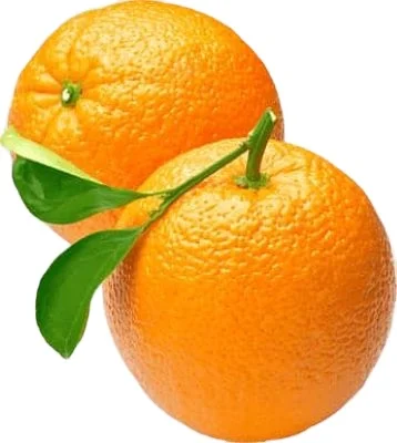fresh valencia oranges hot sale mandarin oranges yellow packing in boxes fresh fruit place model citrus