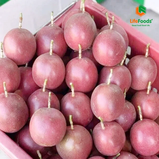 Type maturity storage standard competitive good products fresh fruit Fresh Passion Fruit Lifefoods from Vietnam