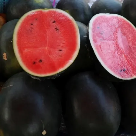 High quality organic fresh watermelon
