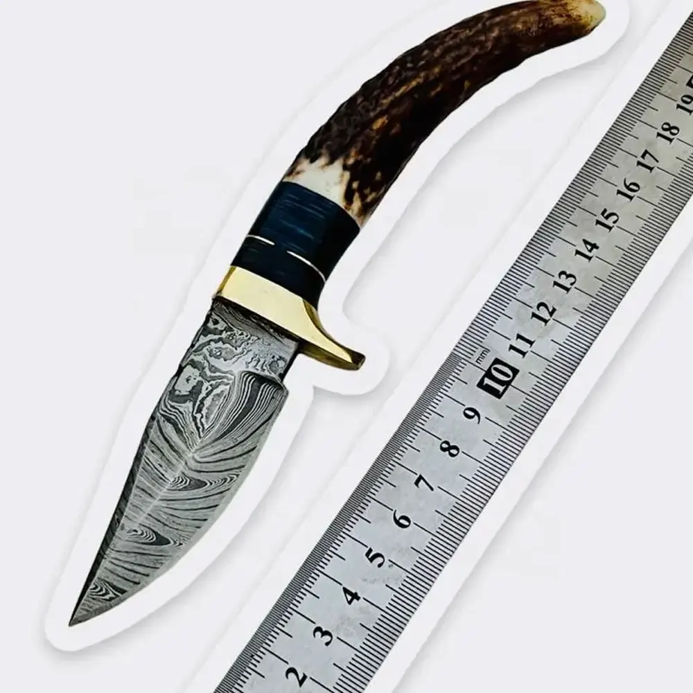 New Custom Handmade Damascus Steel Hunting Skinning Knife With Stag-Horn Handle for sale in bulk quantity