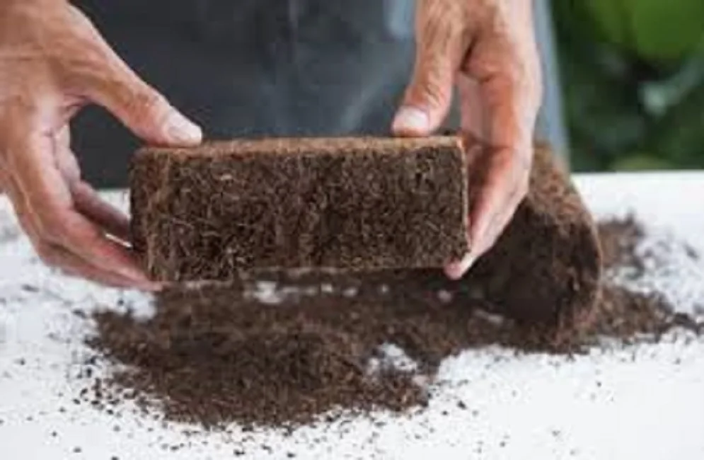 5kg Eco Friendly Made Coco Peat/Pith Used in Terrace and Pot Garden