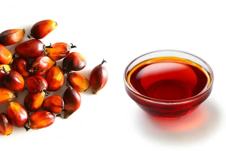 High Quality Refined & Crude Red Palm Oil /Palm Nuts Oil/ Refined Palm Vegetable Cooking Oil