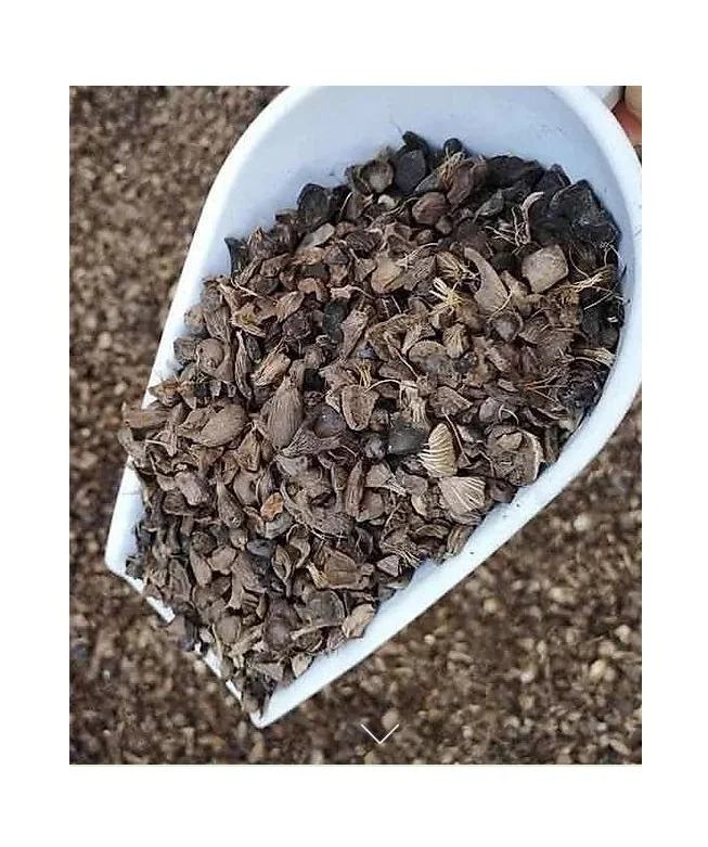 Palm kernel shells high quality