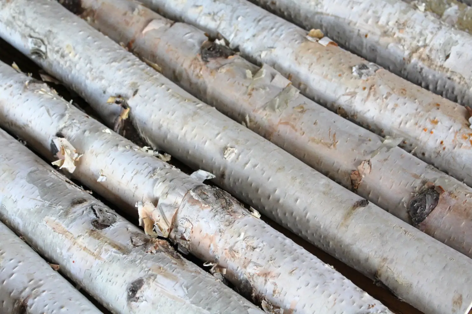 Birch White Logs