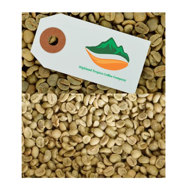 Aromatic Robusta Coffee Beans Vietnam Green Coffee Beans Made in Vietnam Bean ISO22000 2018 High Quality 18 Drink Premium Grade