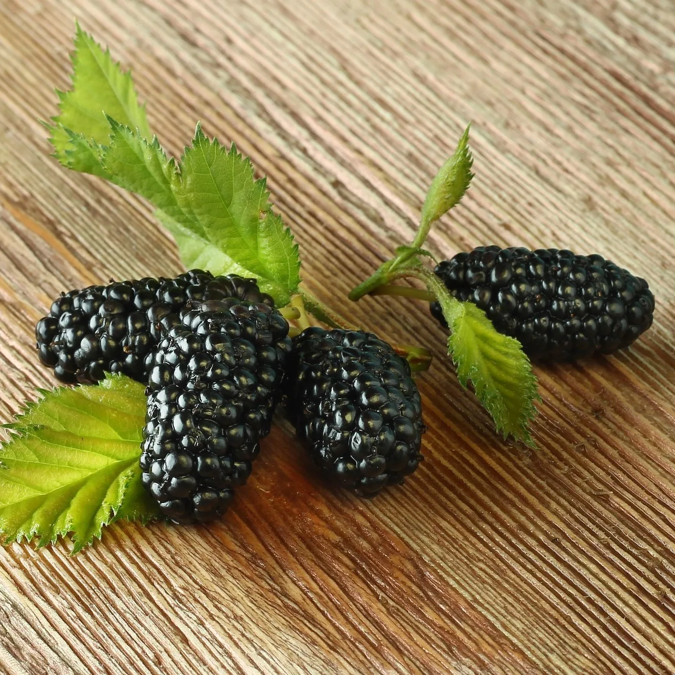 Premium quality Mulberry extra Jam 160g Made in Sicily ideal for breakfast or dessert